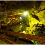 Lamprecht's Cave, Austria