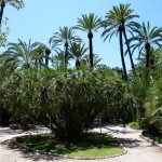 City of Elche in Spain – the World Capital of Palm Trees
