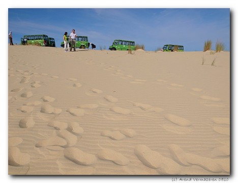 Sand Dunes in Doñana National Park, Spain
