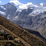 Gran Paradiso National Park, Valle D’Aosta in Italy