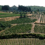 Chianti – the region of unique wine | Tuscany, Italy