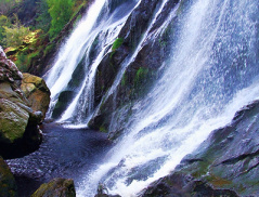 powerscourt-waterfall-ireland