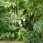 Tropical greenhouse Fata Morgana – unique rainforest in Europe | Czech Republic