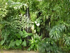 Tropical greenhouse Fata Morgana - unique rainforest in Europe | Czech Republic