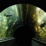 The Giant aquarium in Hradec Králové – the largest freshwater aquarium in Europe | Czech Republic