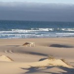 Guincho Beach – one of the most beautiful beaches in Portugal