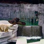 Zoo Karlsruhe – one of the best and oldest zoological gardens in Germany
