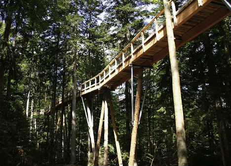 The world´s longest tree top walk - explore nature in Bavarian Forest National Park | Germany