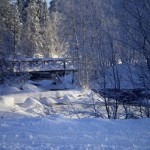 Plan a trip to a winter wonderland | Finland