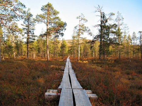Pallas-Yllästunturi National Park in Finland 2