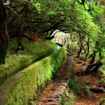 Paul da Serra – unexpected plateau in the middle of the mountains of Madeira | Portugal