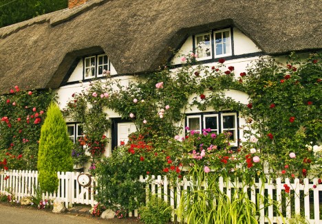 Cottage in Longparish Road, Wherwell, UK