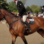 A horse in action at the Royal Windsor Horse Show in 2010.