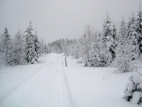 Cross Country Skiing in Sweden