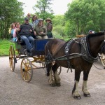Horse drawn carriage in Killarney National Park, Ireland