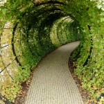 Alnwick Garden, England, UK