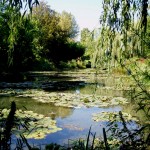 Monet’s Garden, France