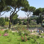 Municipal Rose Gardens, Rome, Italy
