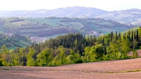 Cypress trees and Tuscan hills