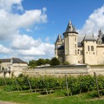 Vineyard in the Loire Valley near Chinon, France