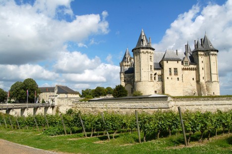 Vineyard in the Loire Valley near Chinon, France