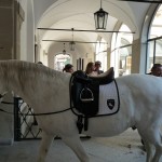 Spanish Riding School, Vienna, Austria